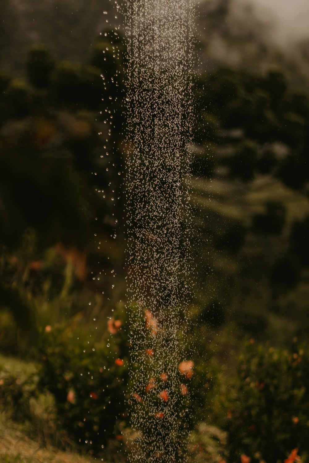 a close up of a sprinkle of water from a sprinkler