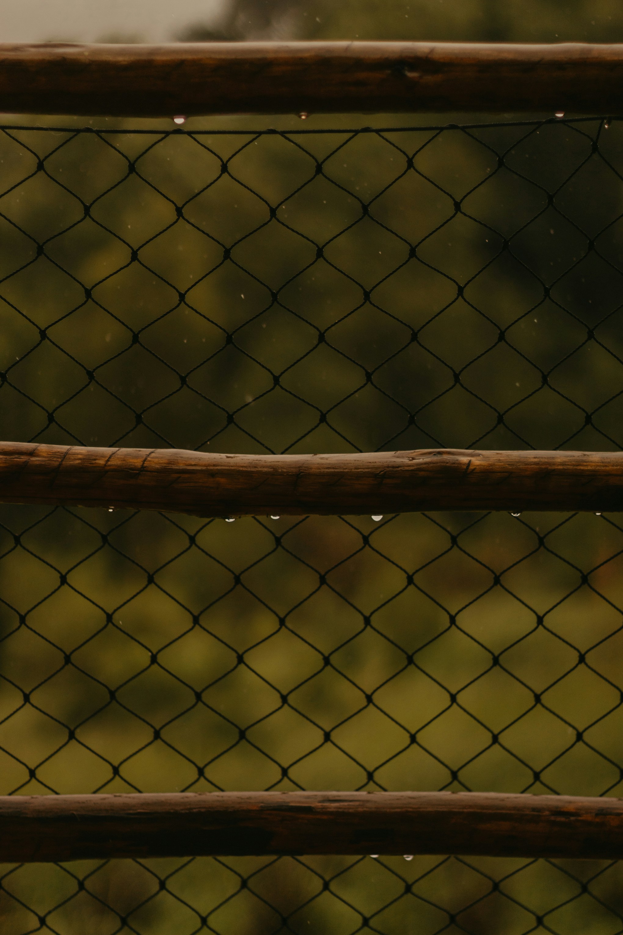 a close up of a fence with a bird on it