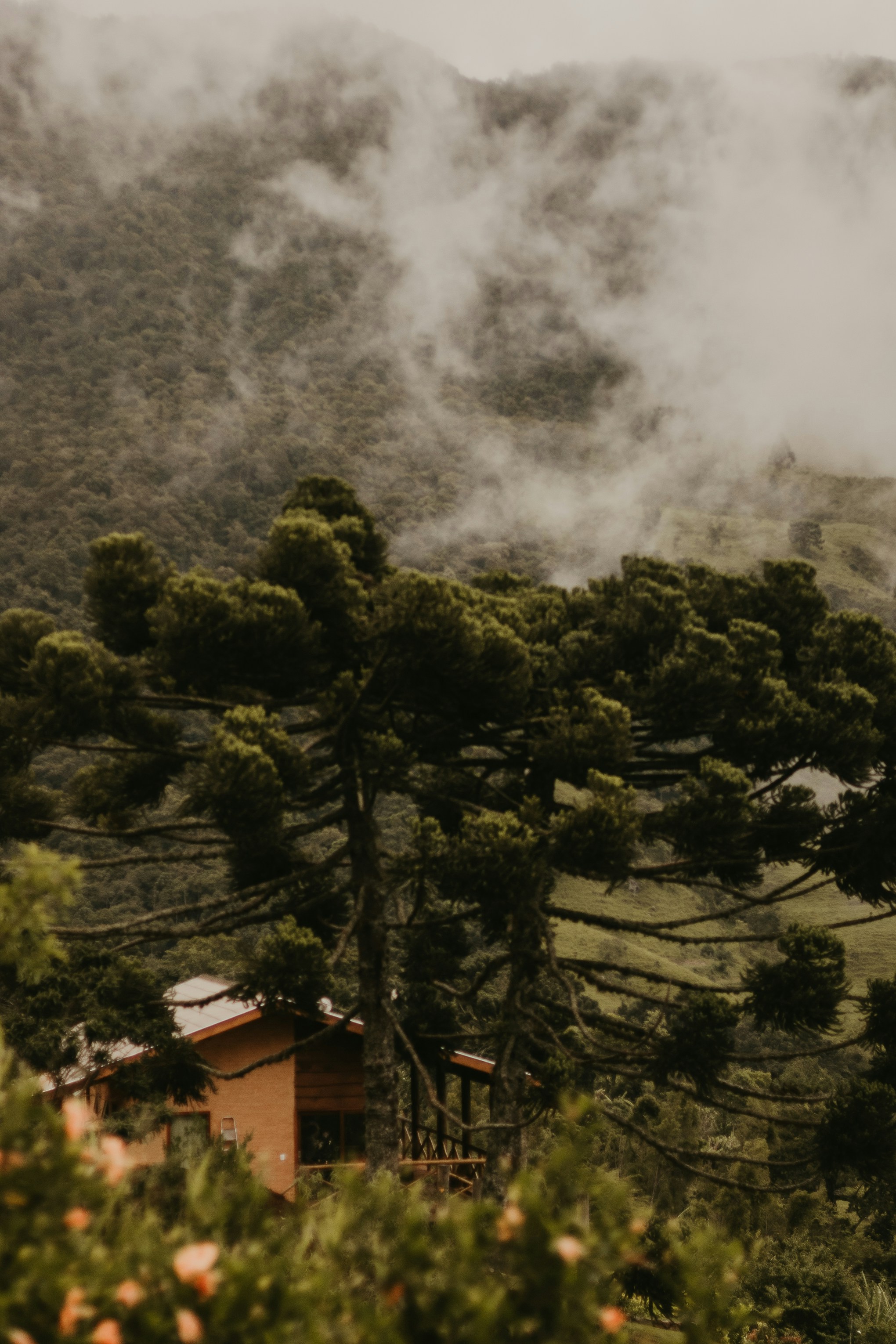 Photo by nicolequeiroz