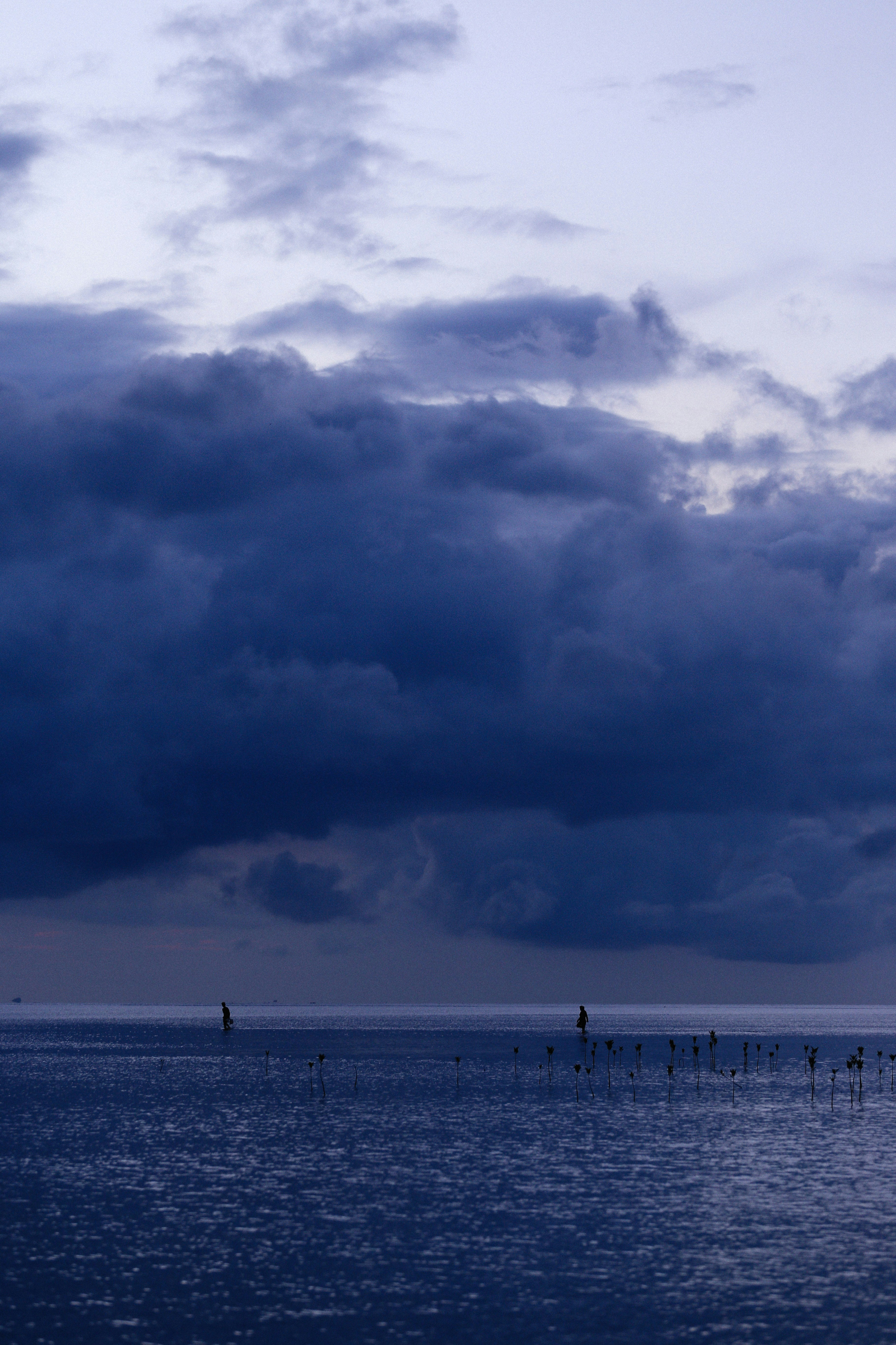 Photo by alexeydemidov