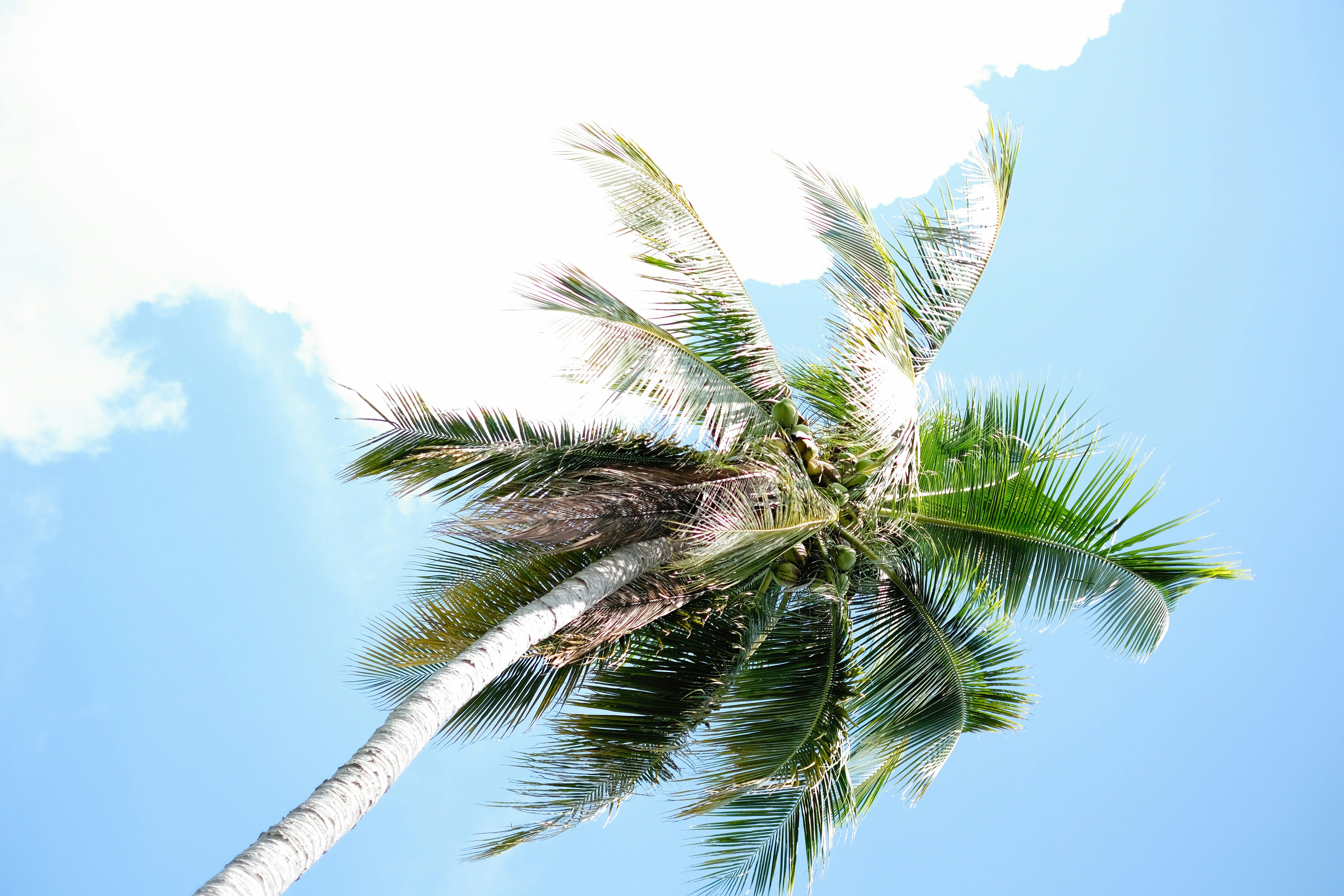 Photo by alexeydemidov