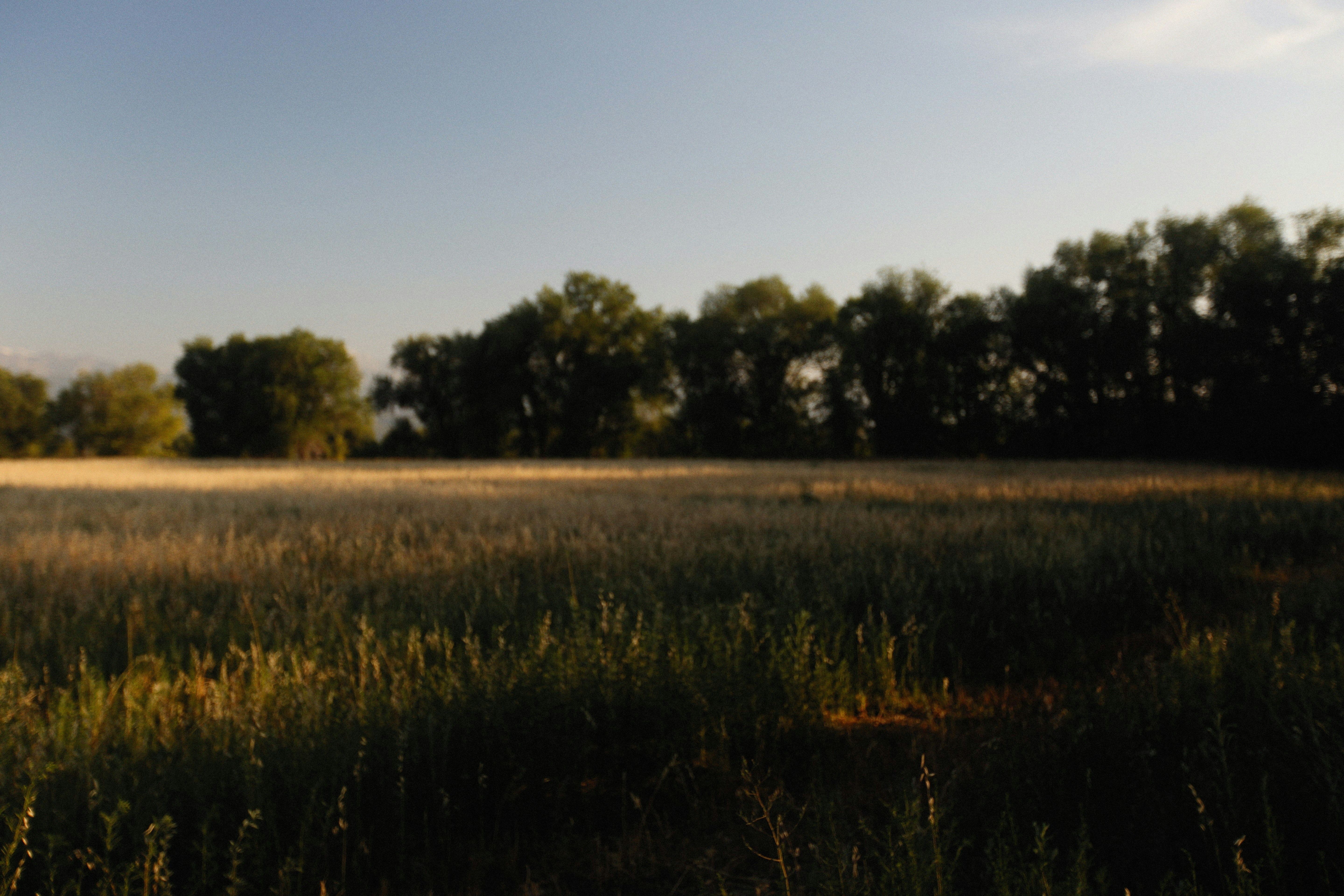 Photo by alexeydemidov