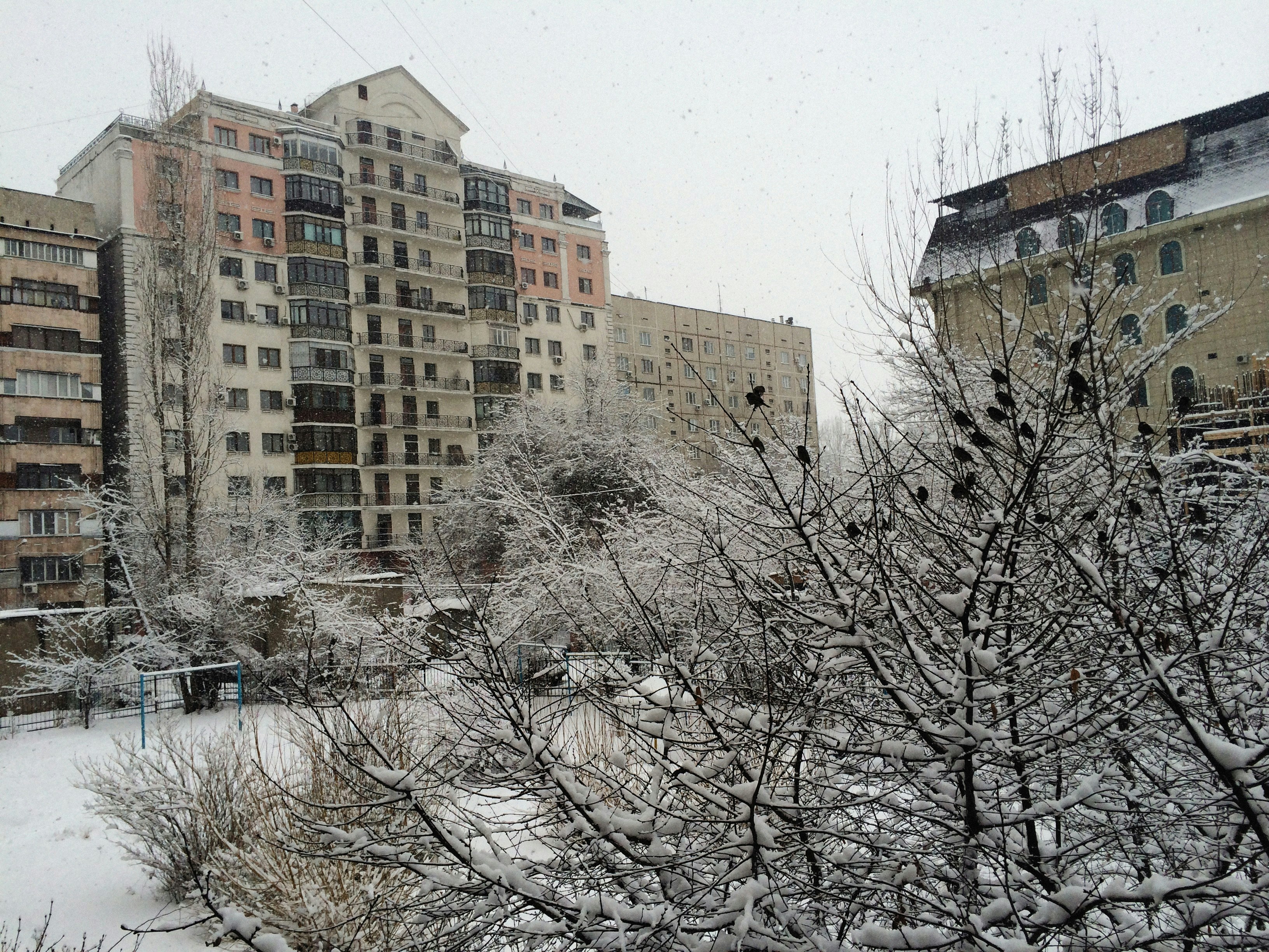 Photo by alexeydemidov