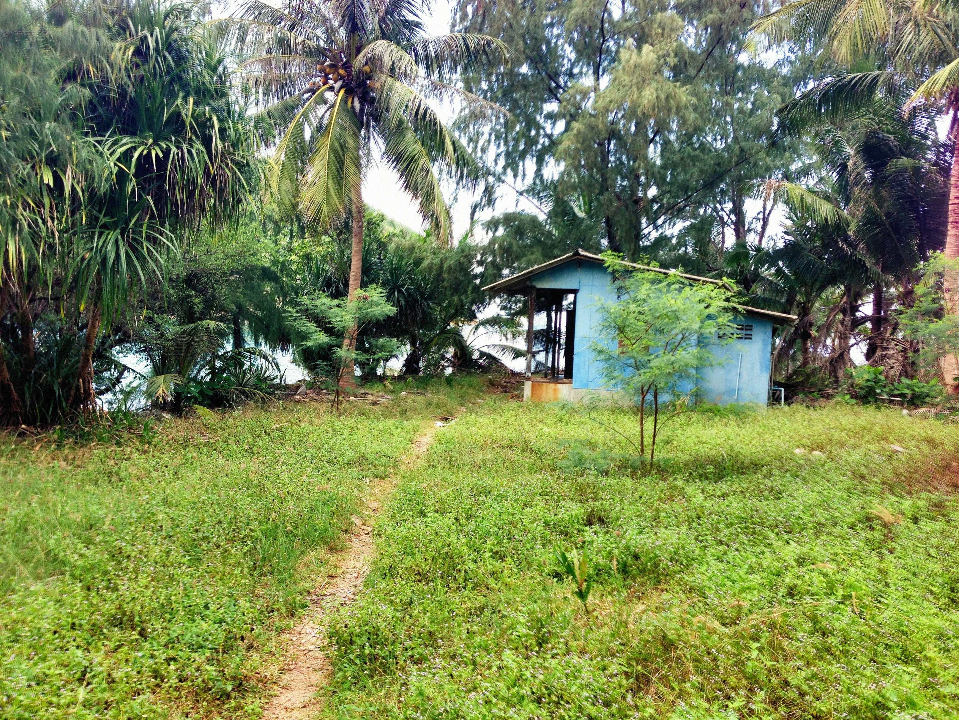 Photo by alexeydemidov