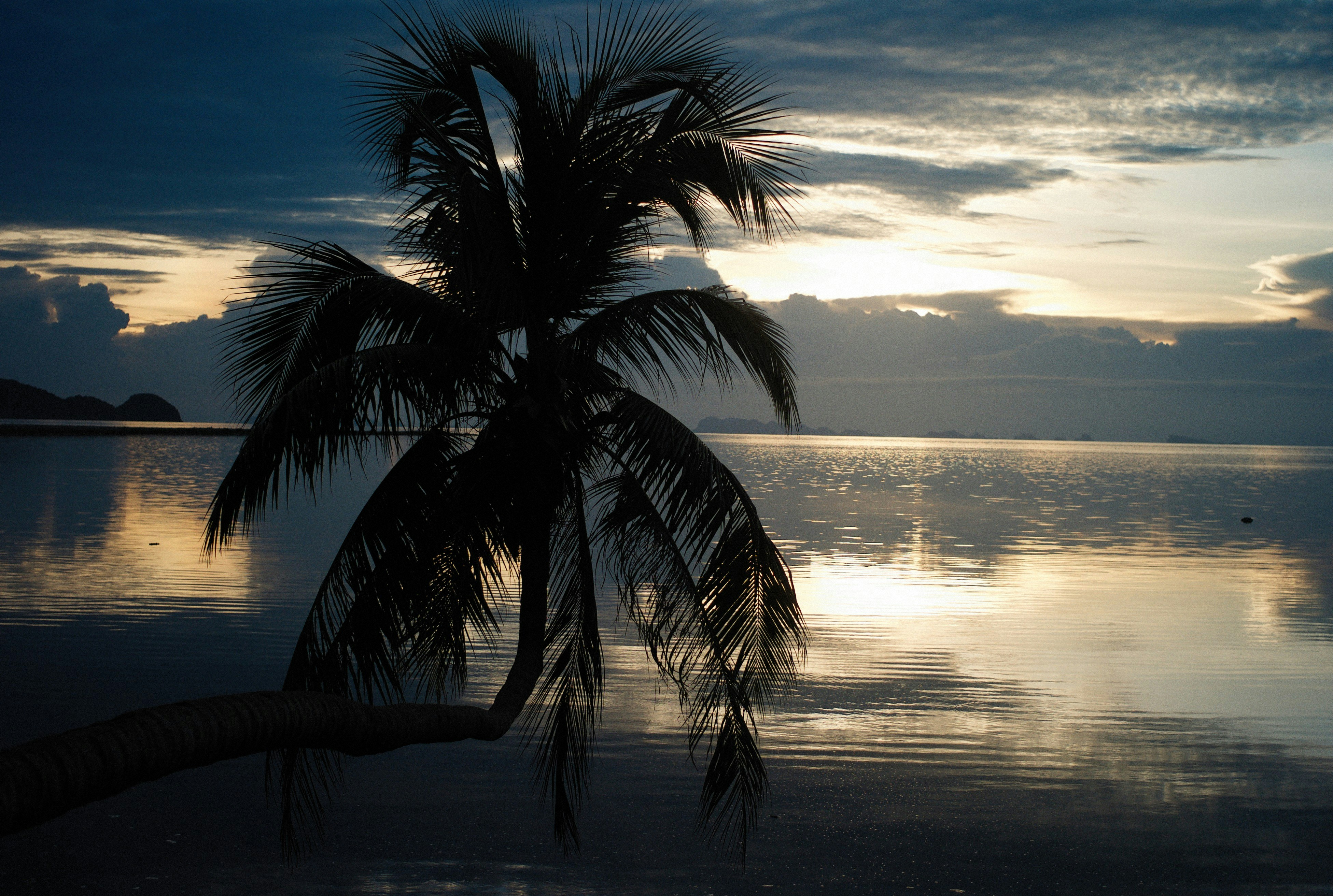 Photo by alexeydemidov