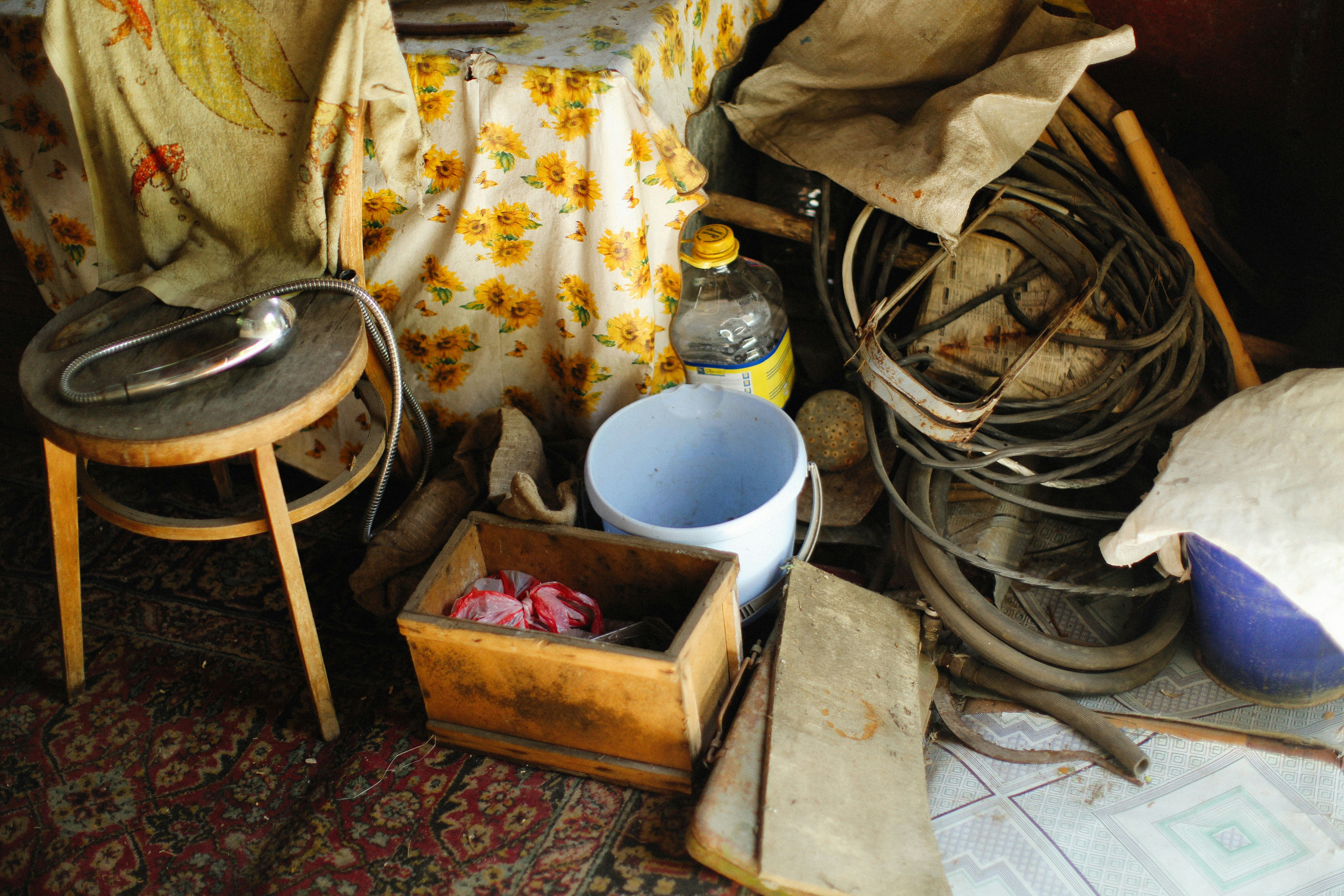 Image by Alexey Demidov via Unsplash