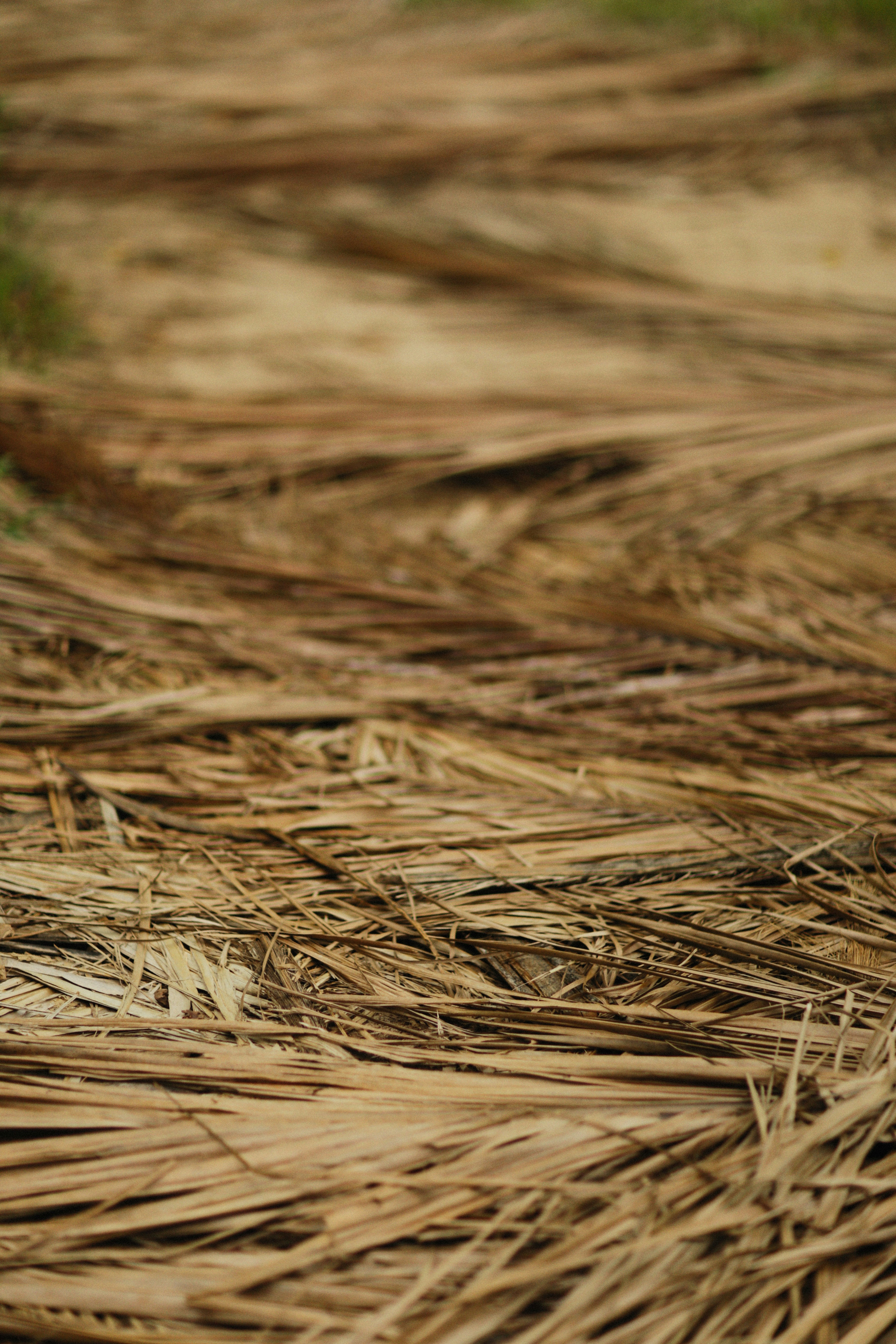 Photo by alexeydemidov