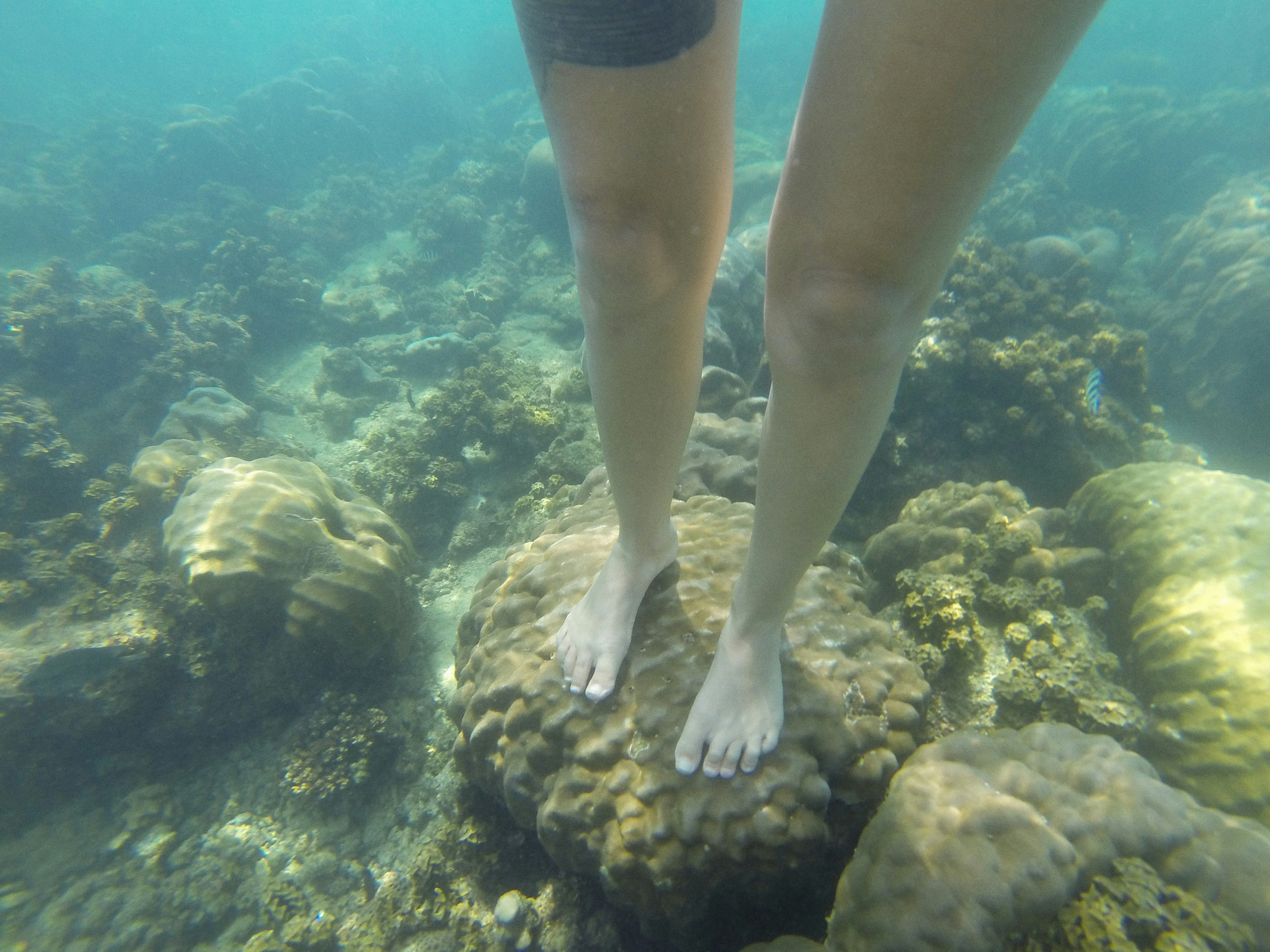 a person standing on a rock in the water