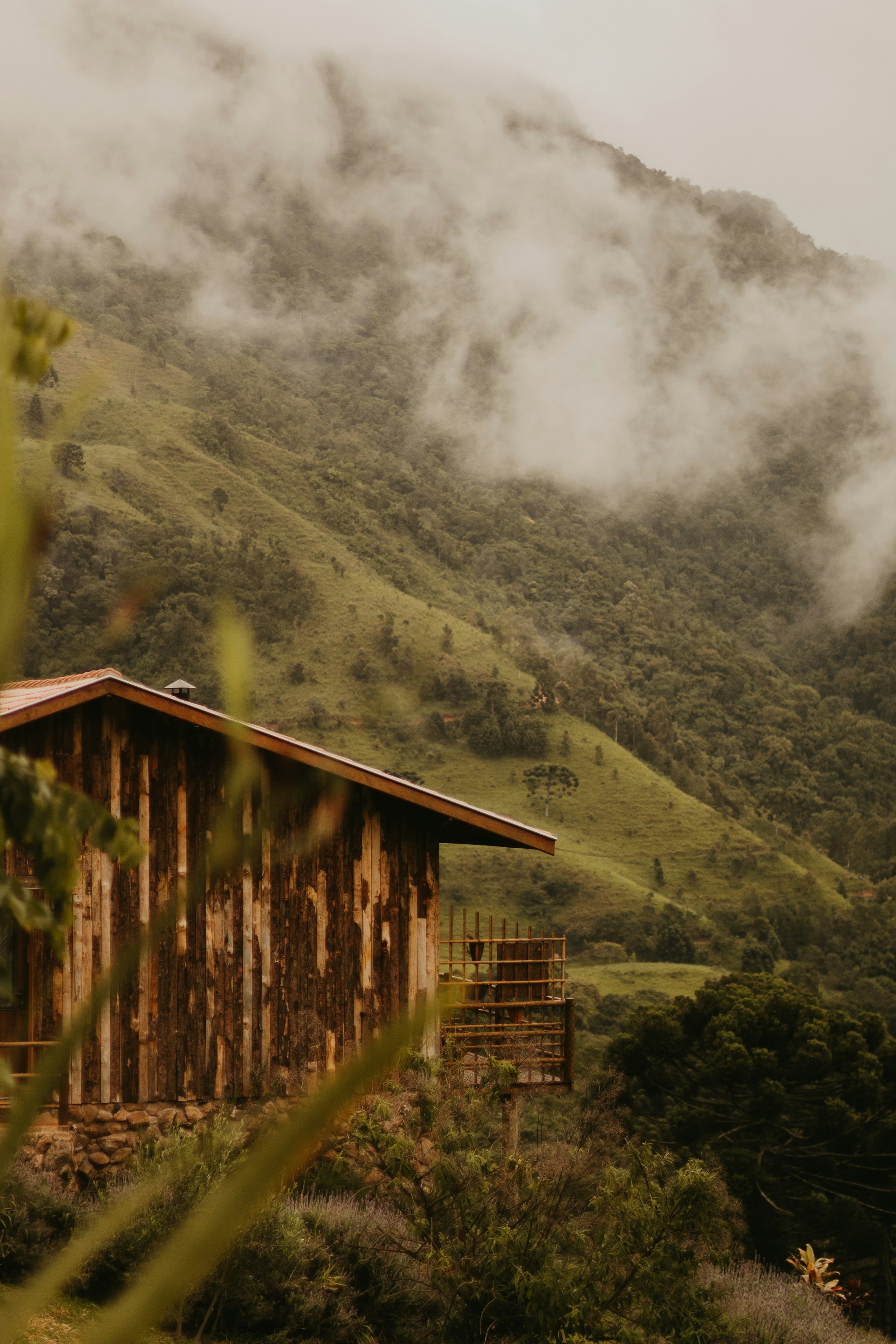 Photo by nicolequeiroz