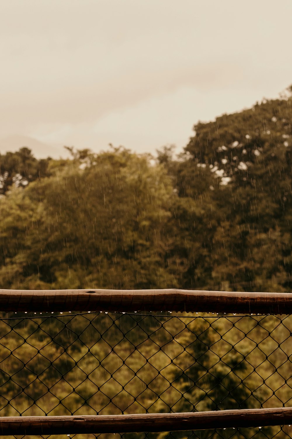 a bird perched on a fence with trees in the background