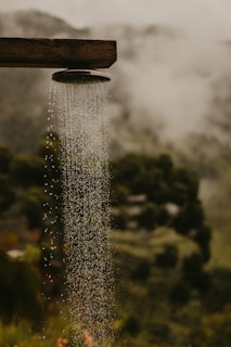 a sprinkle of water pouring from a wooden sprinkler