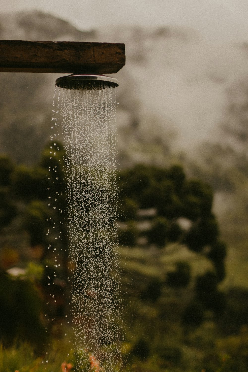 a sprinkle of water pouring from a wooden sprinkler