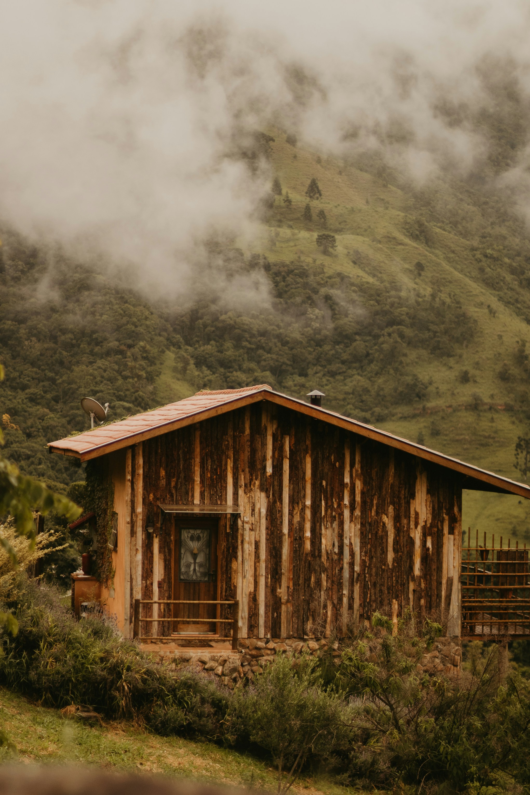 Photo by nicolequeiroz