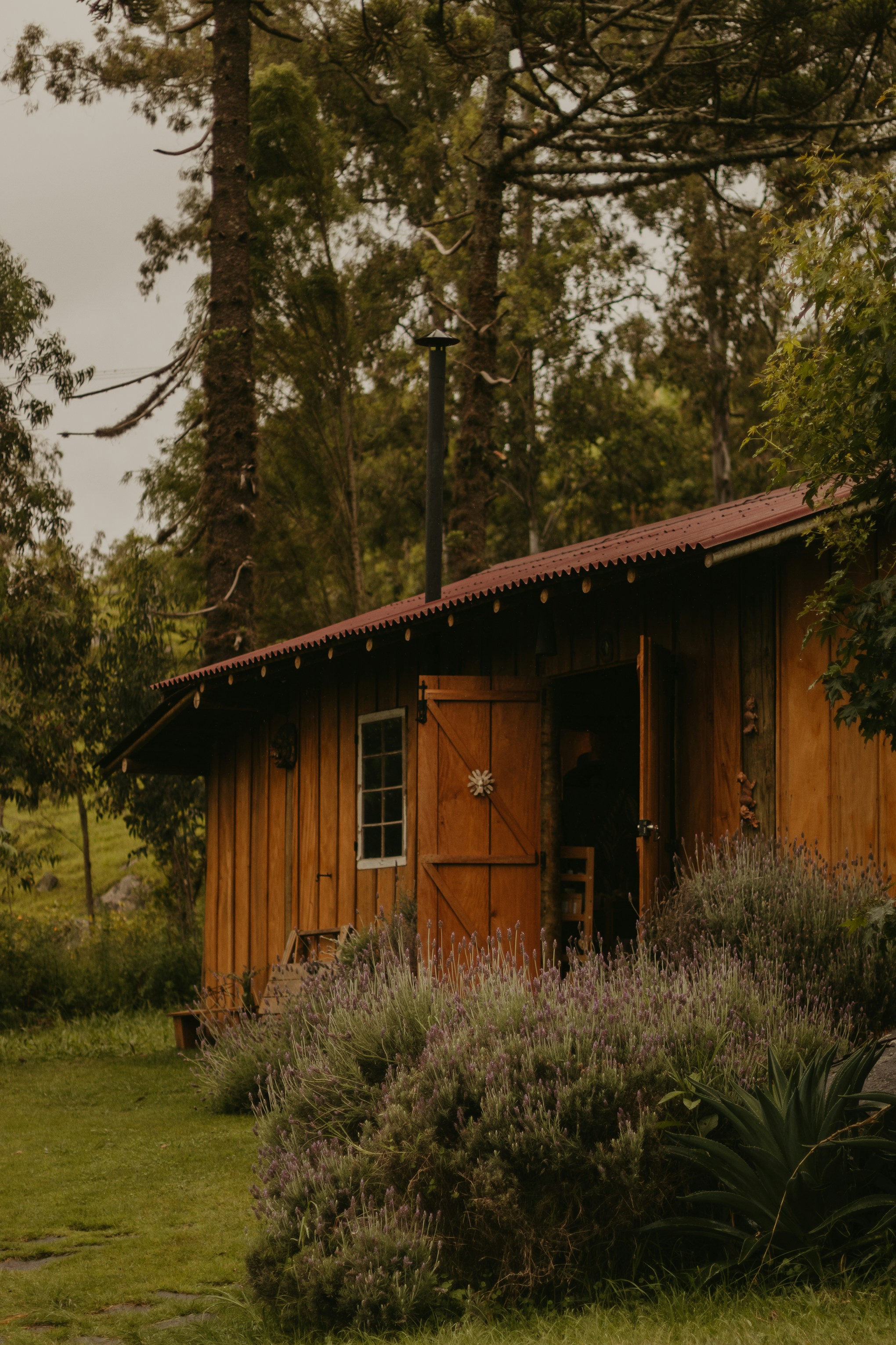 Photo by nicolequeiroz