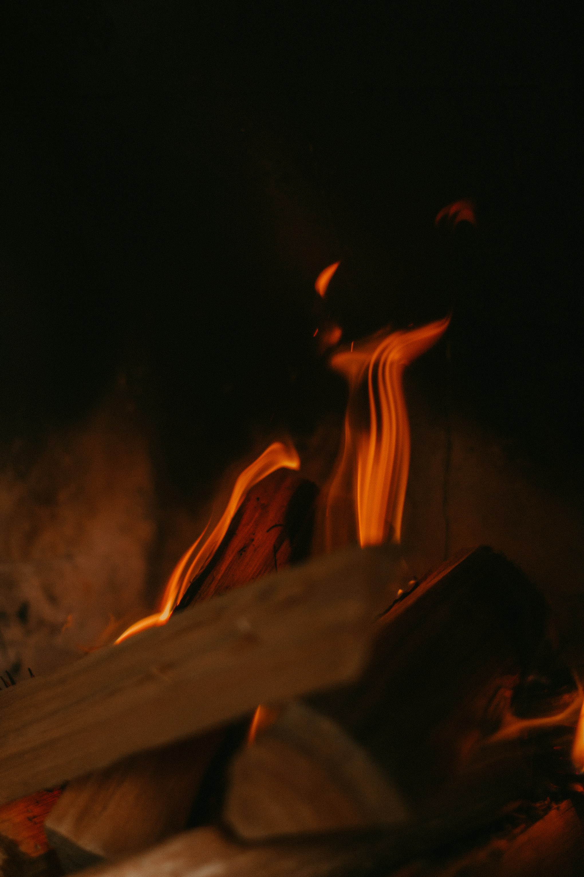 Photo by nicolequeiroz