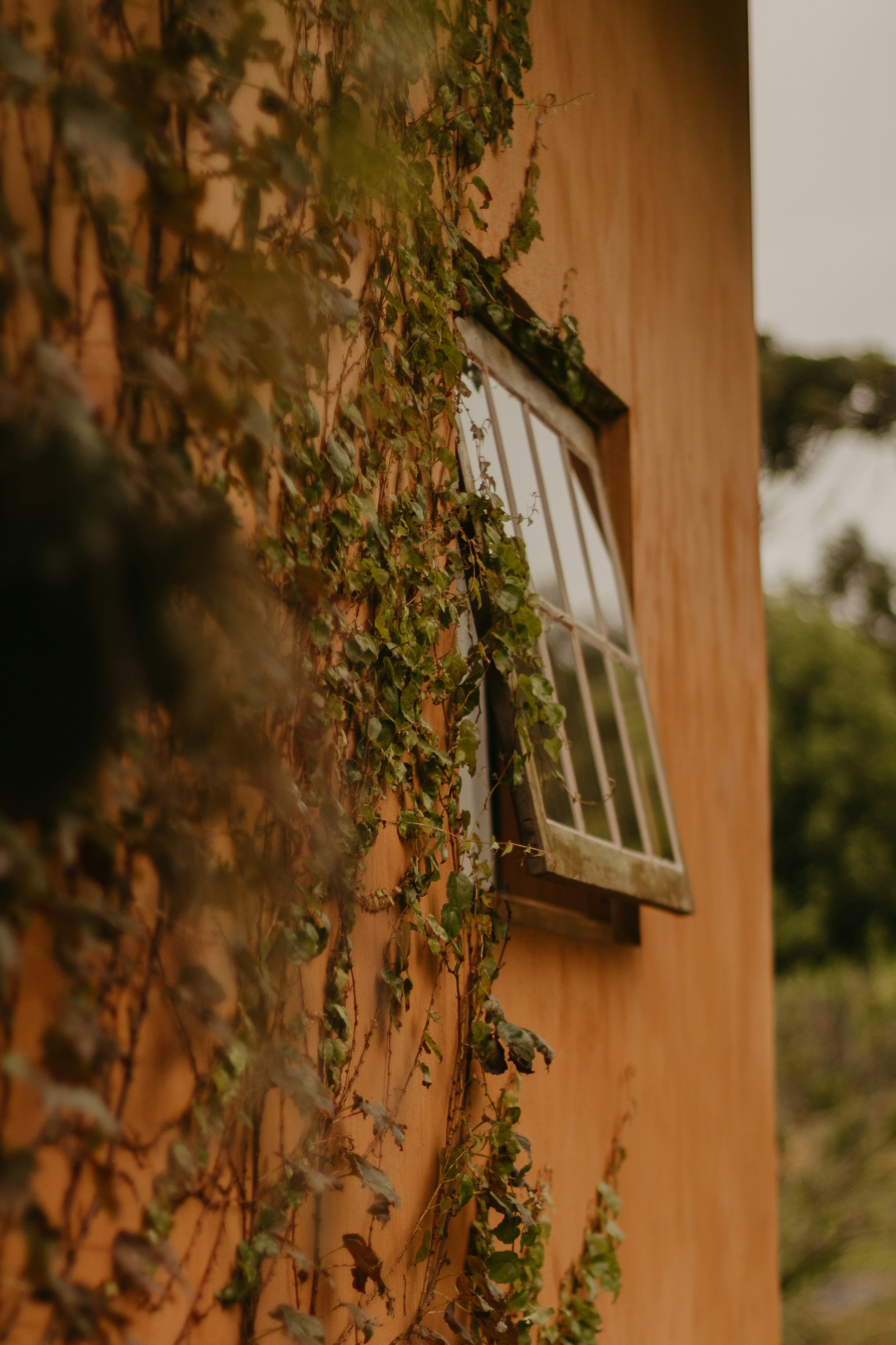 Photo by nicolequeiroz