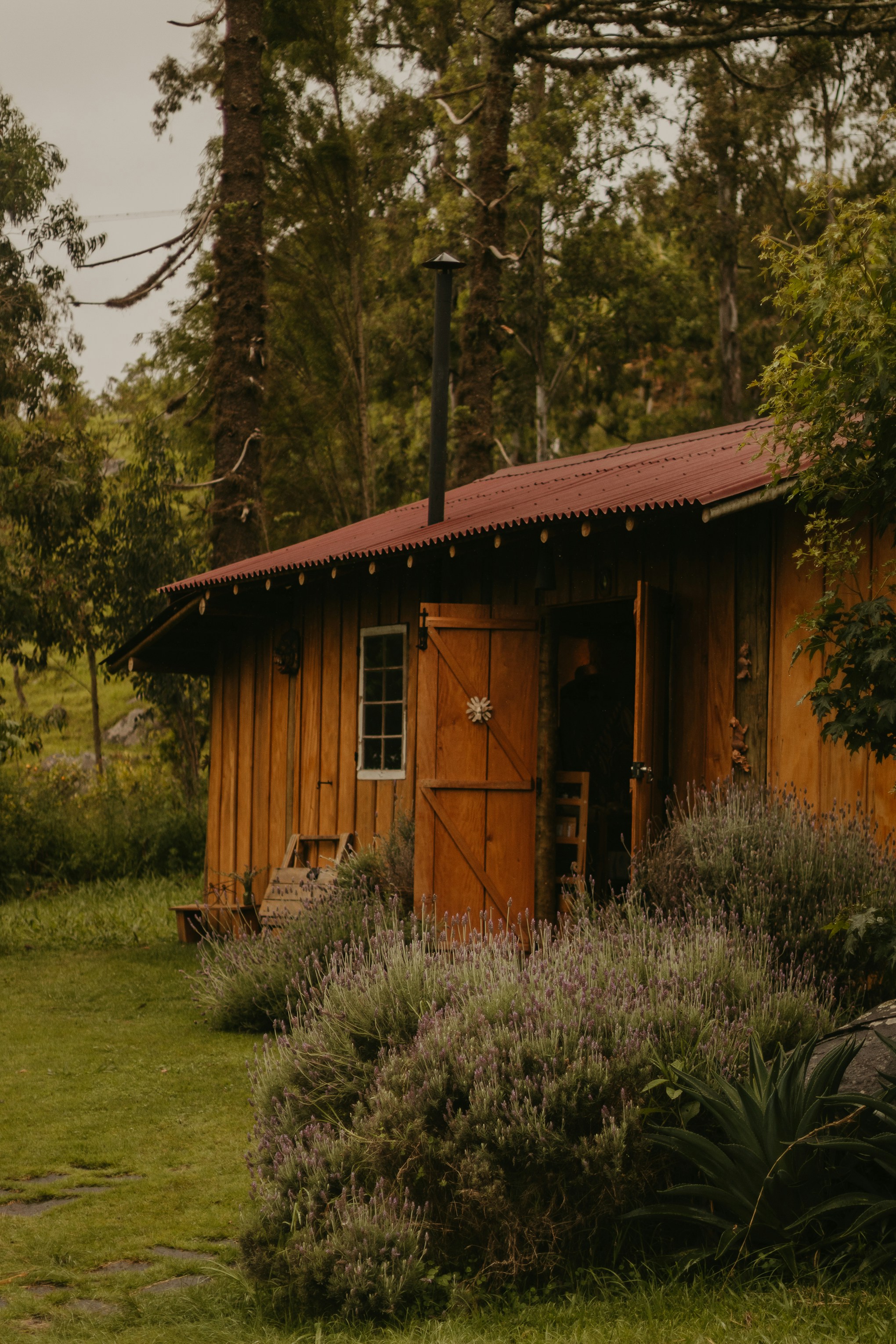 Photo by nicolequeiroz