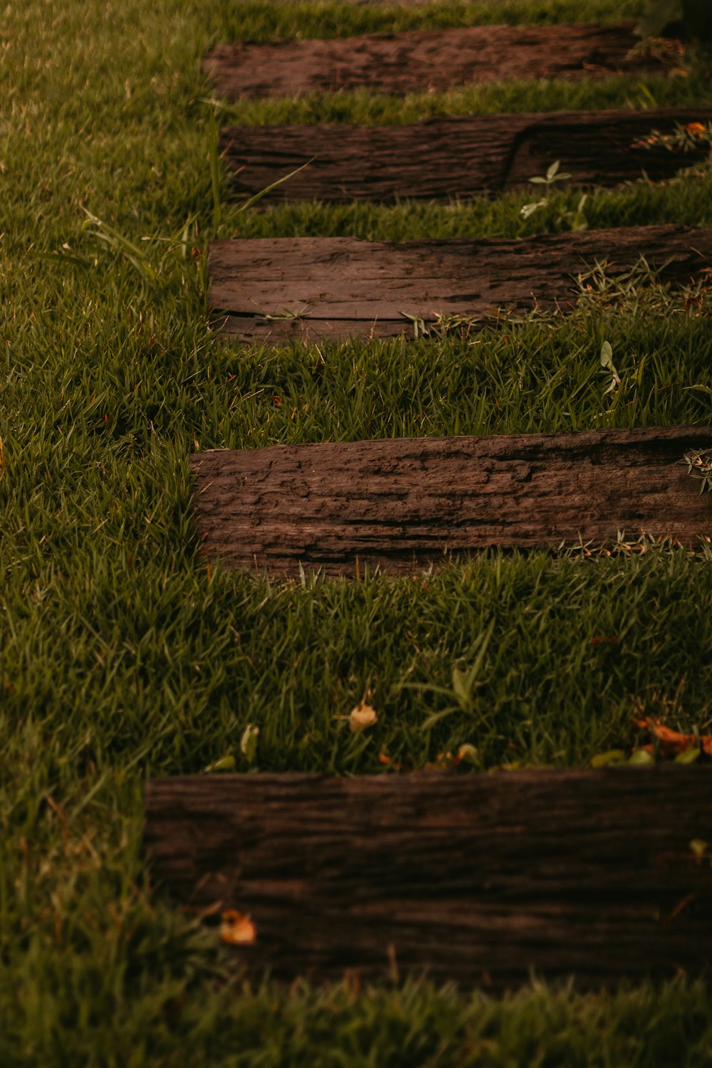 a close up of a wooden walkway in the grass