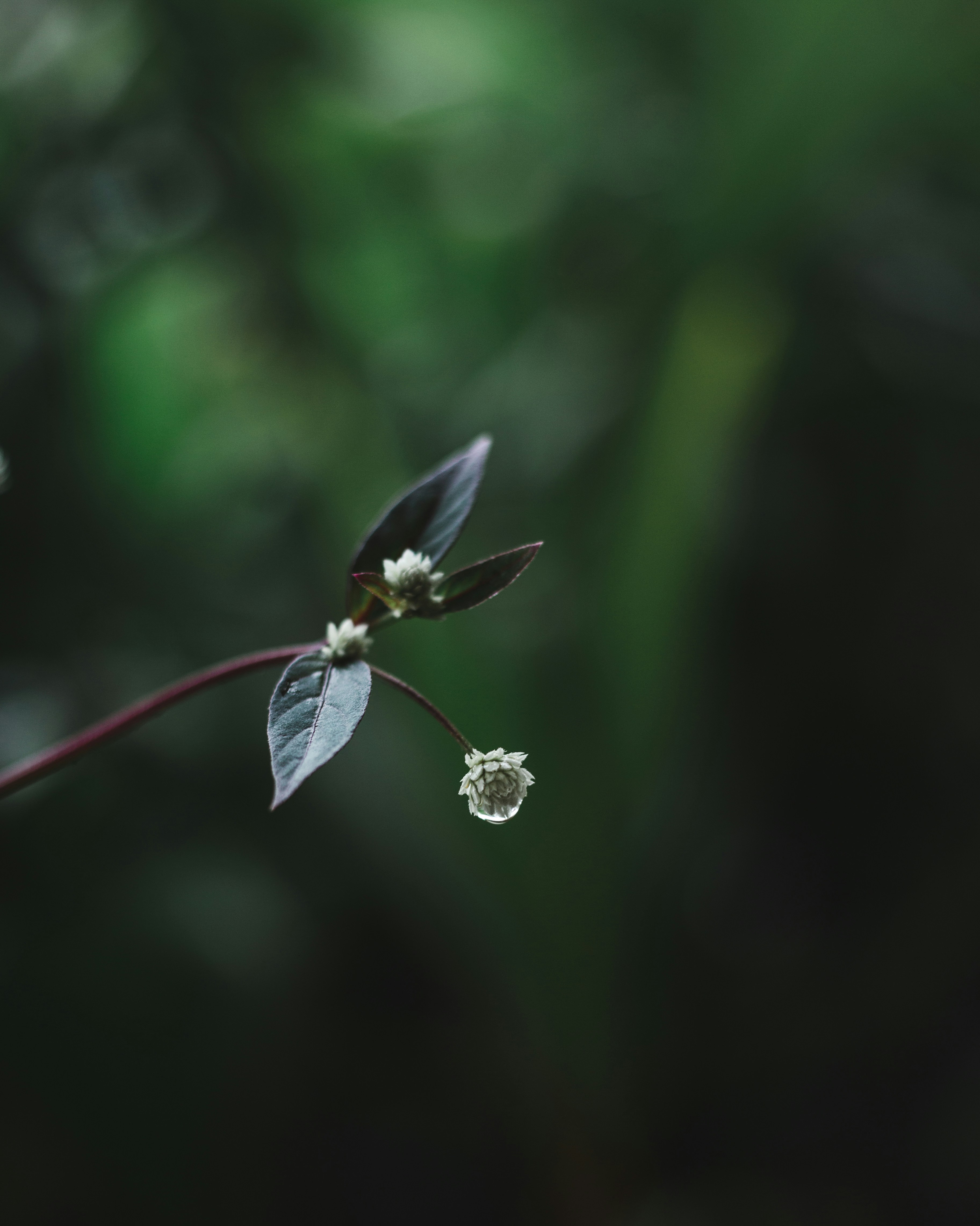 Photo by mohamed_lammah