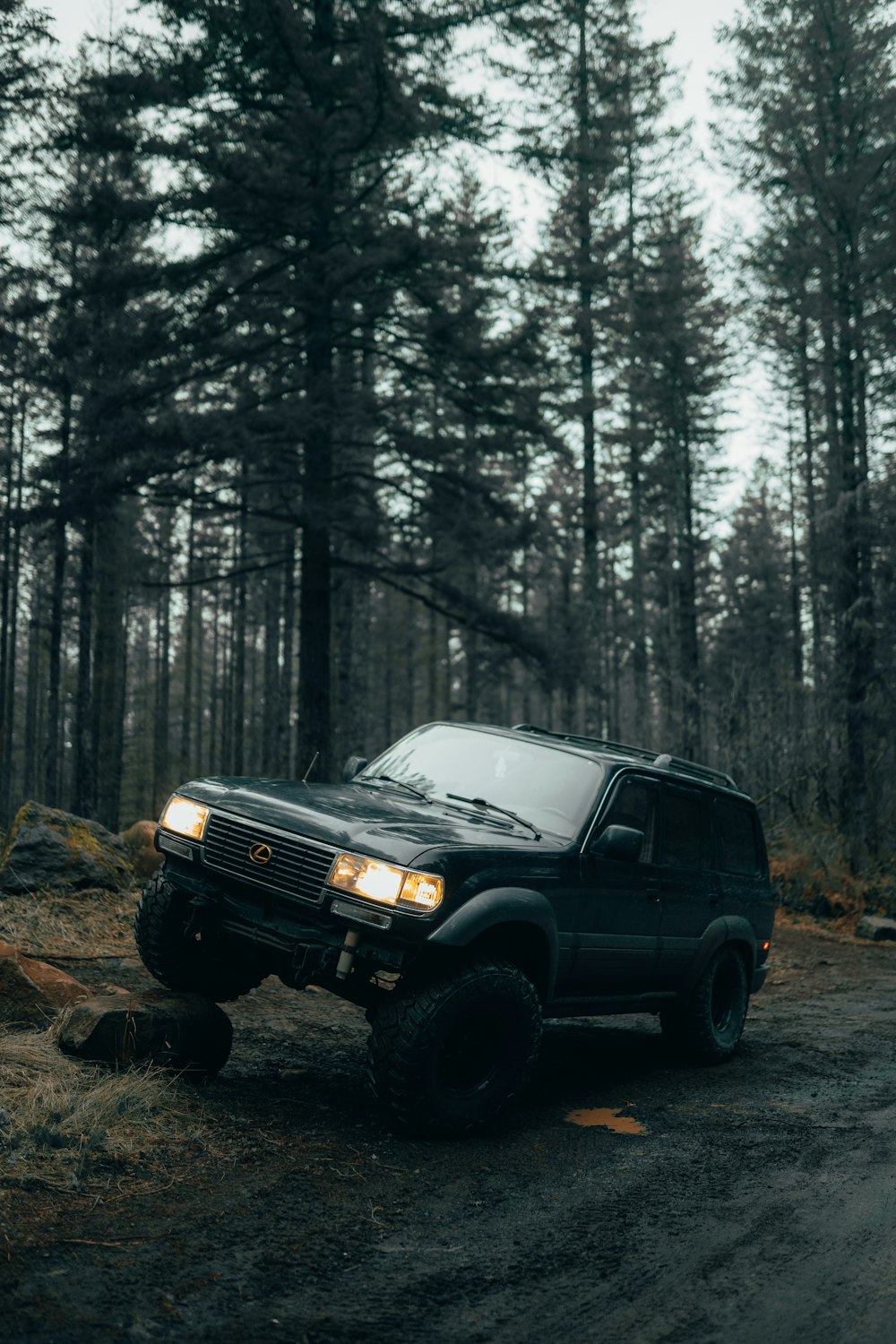 a black truck driving down a forest road