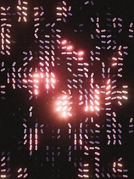 Pathways map on a screen