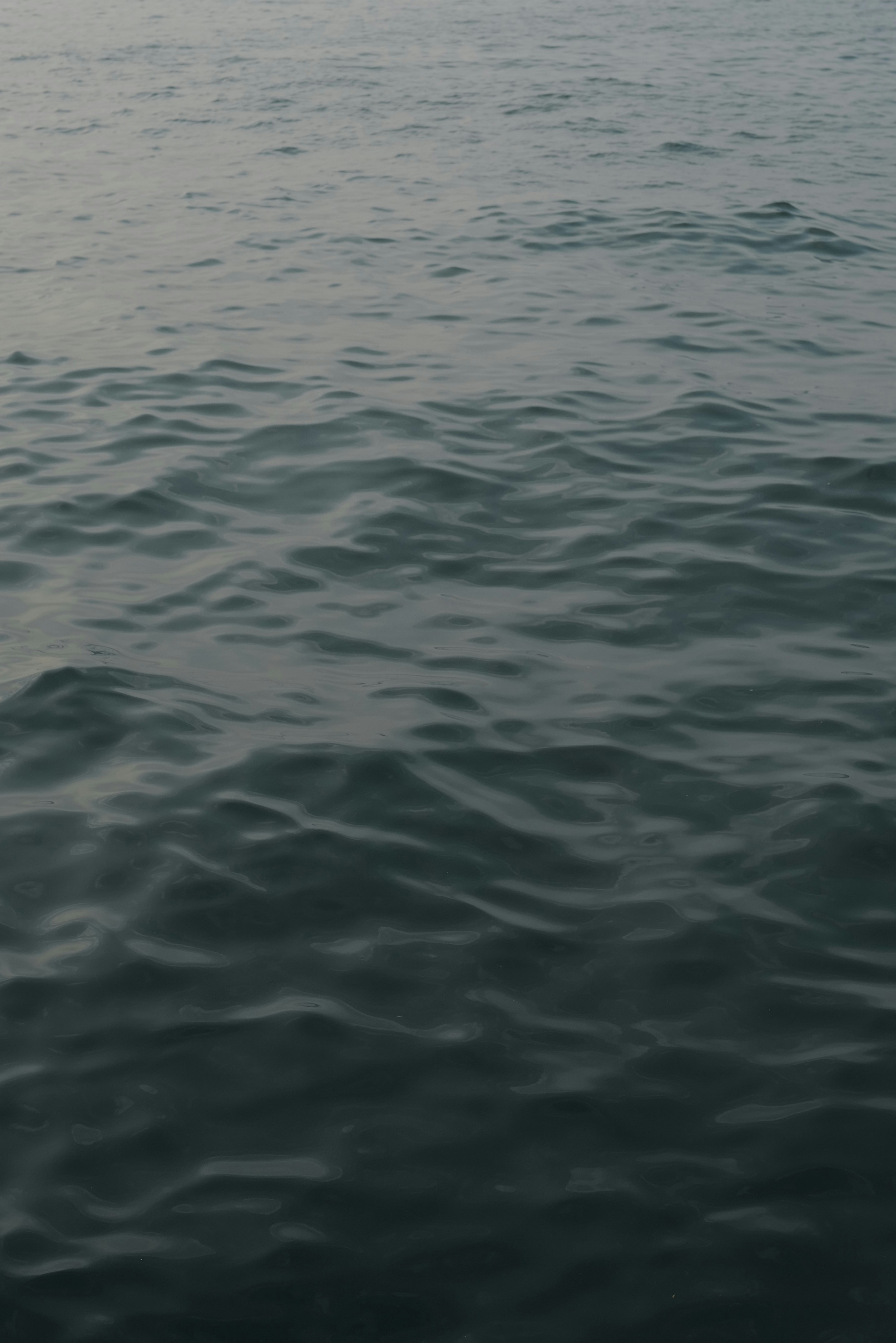 Photo by ericachenxy