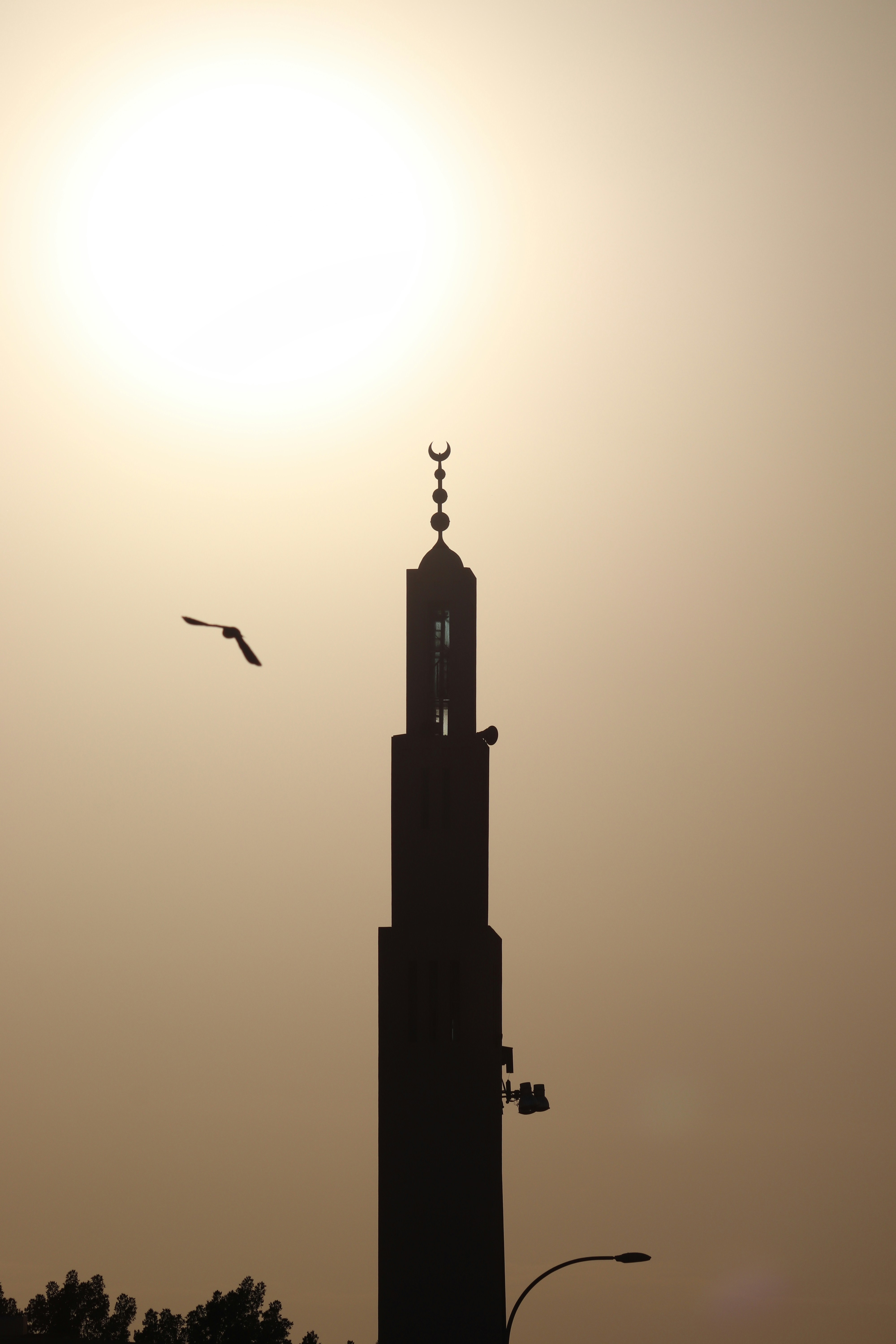 Photo by nobiurbhai