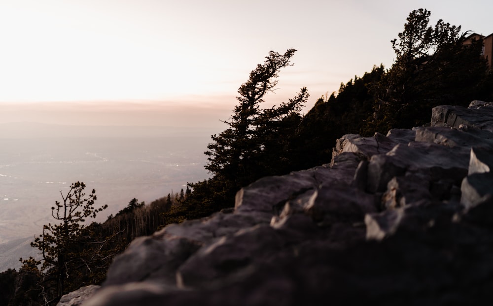 a man riding a skateboard down a rocky slope