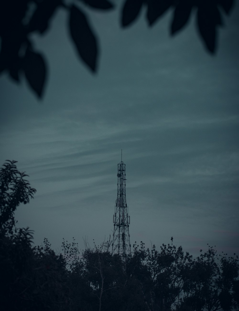 a tower in the middle of a forest at night