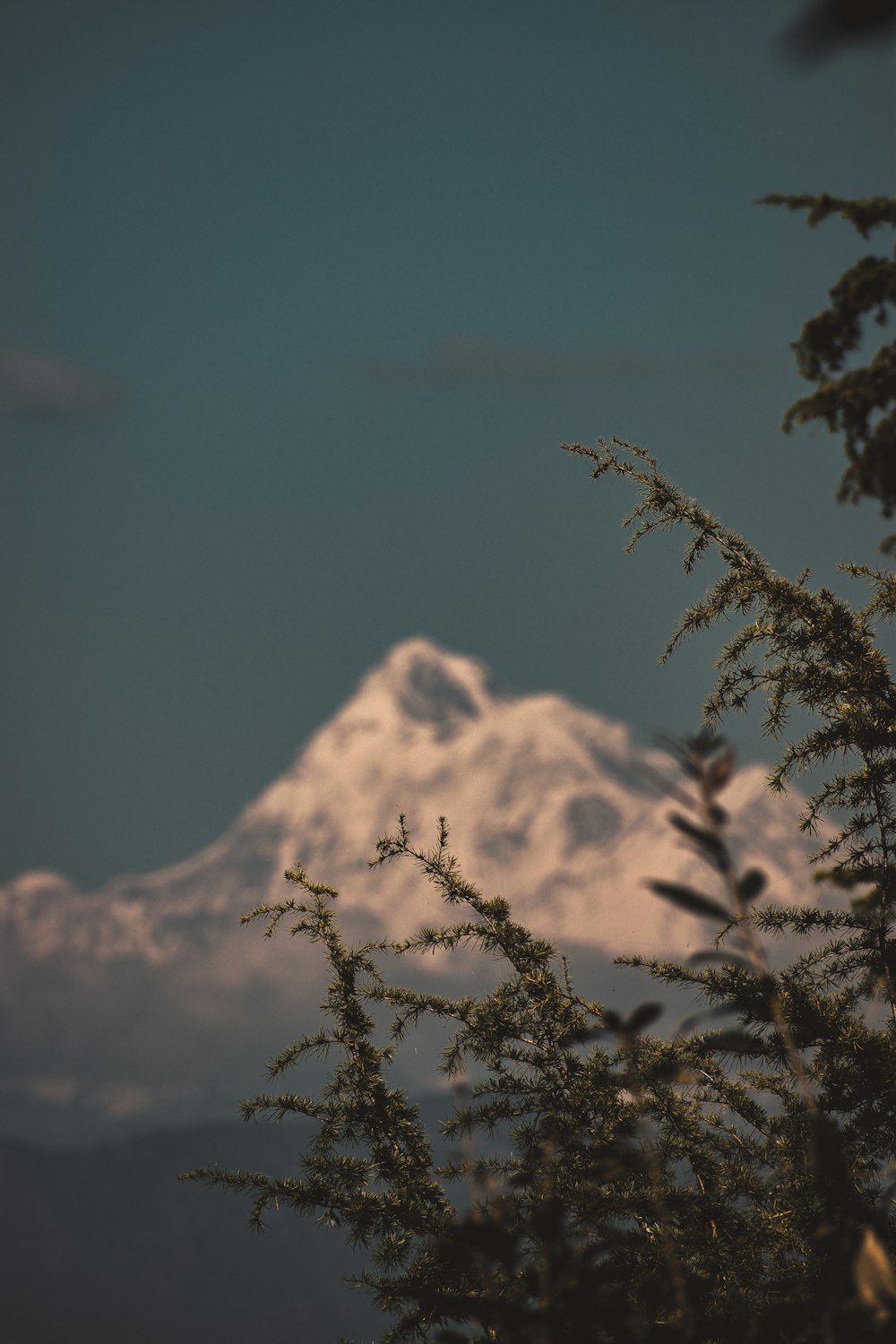 a view of a snow capped mountain from a distance