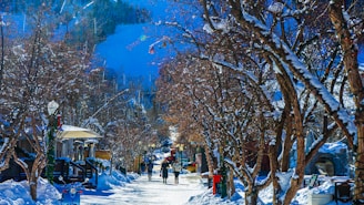 a snowy street with people walking down it