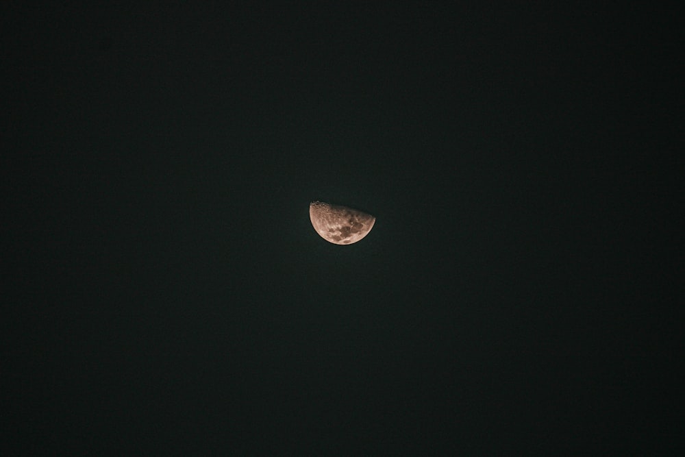 a half moon is seen in the dark sky