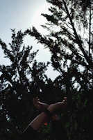 A close-up of hands raised in worship, sunlight filtering through the trees.