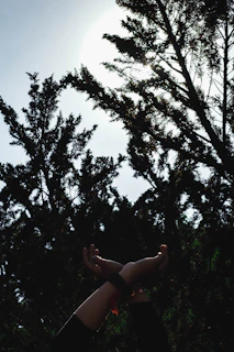 A close-up of hands raised in worship, sunlight filtering through the trees.