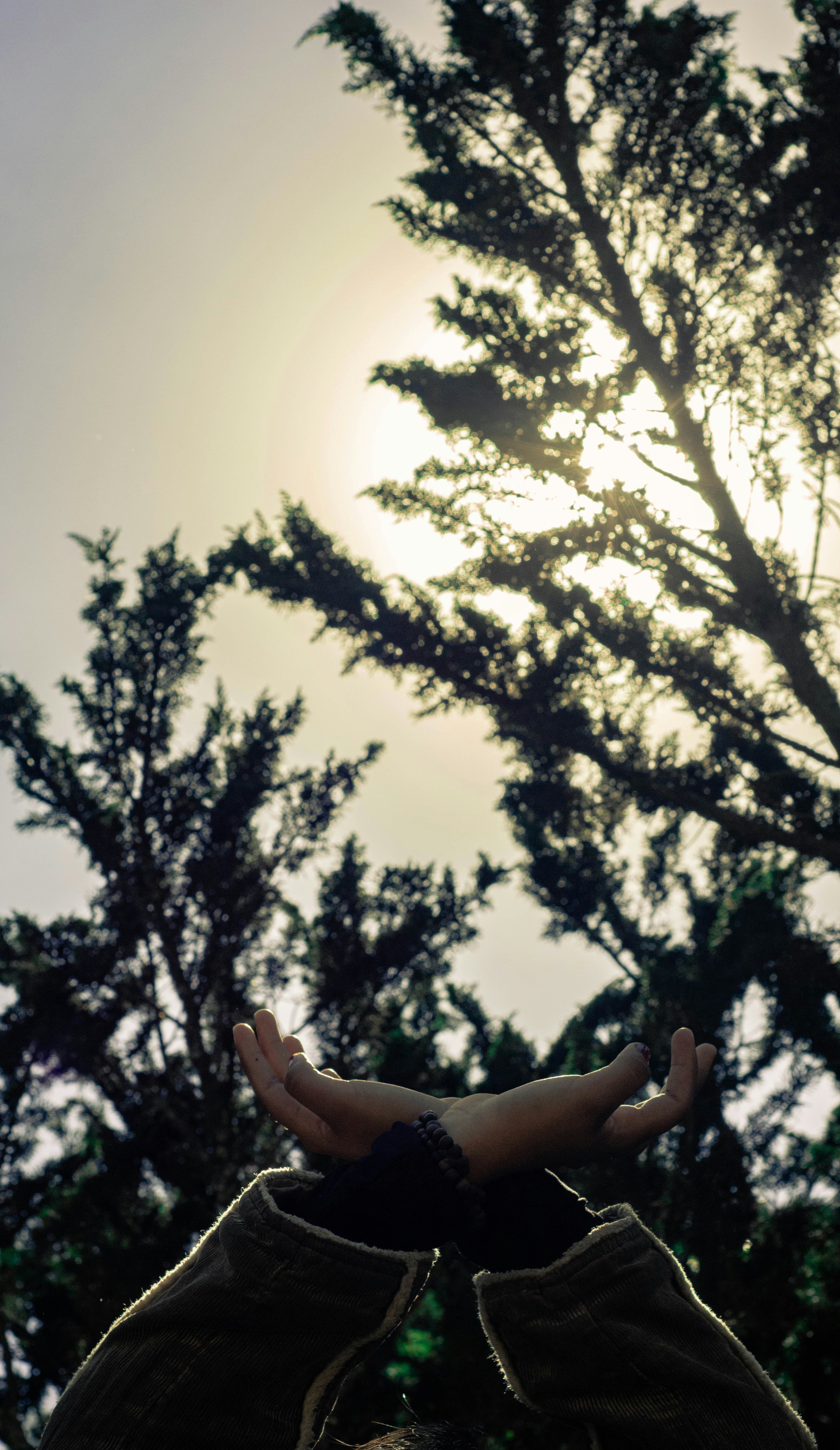 a person holding a cell phone up to the sky