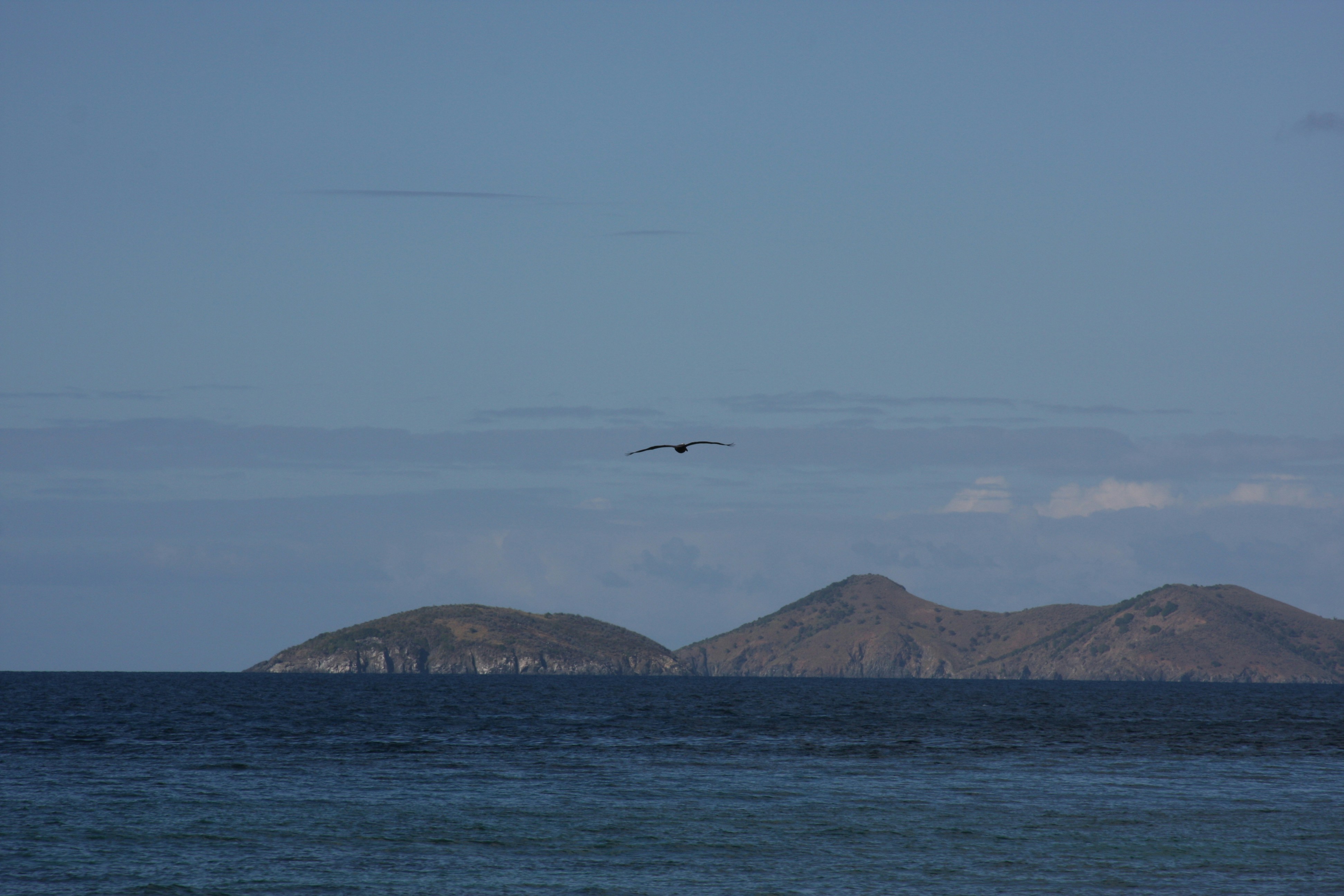 Photo by climatechangevi