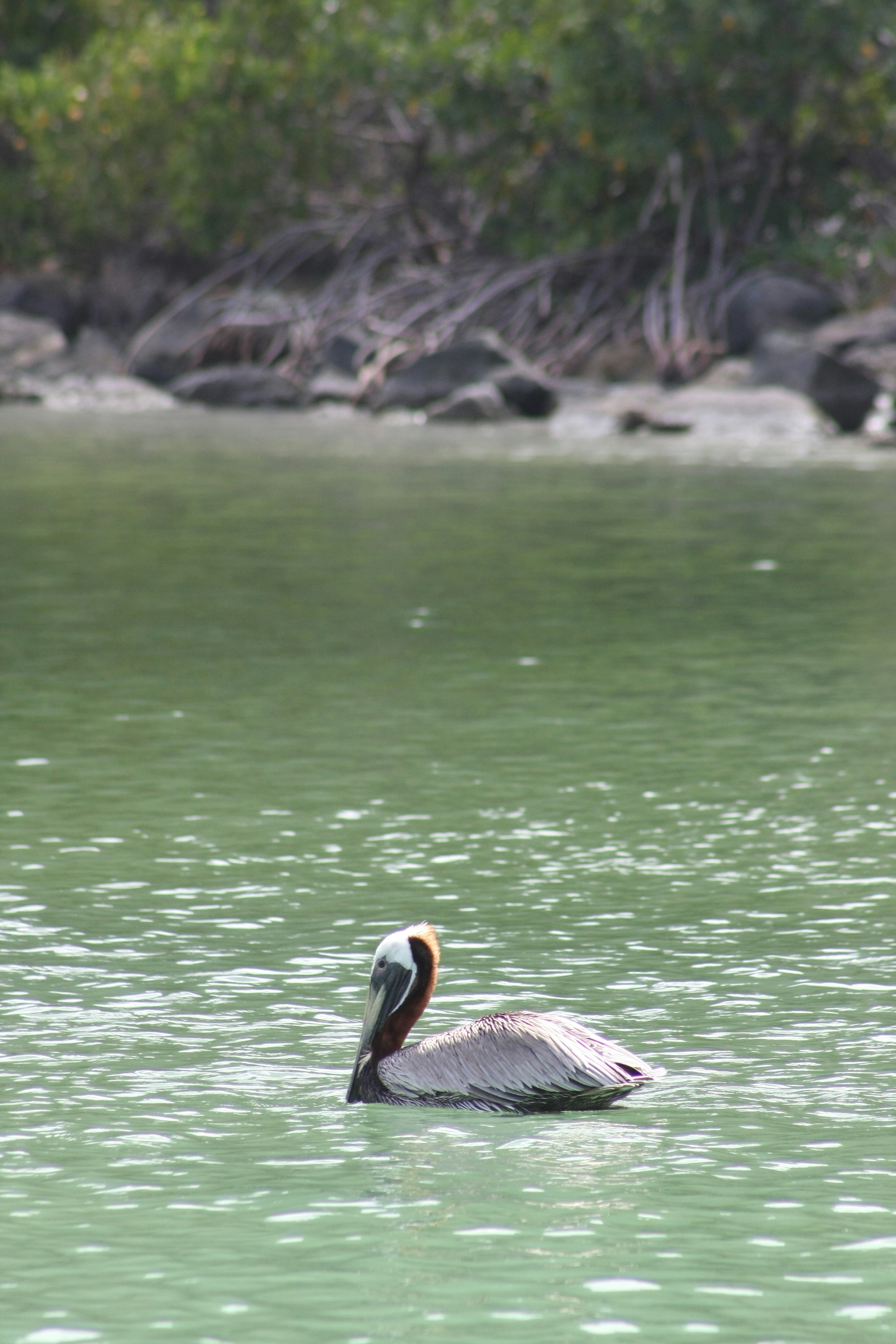 Photo by climatechangevi