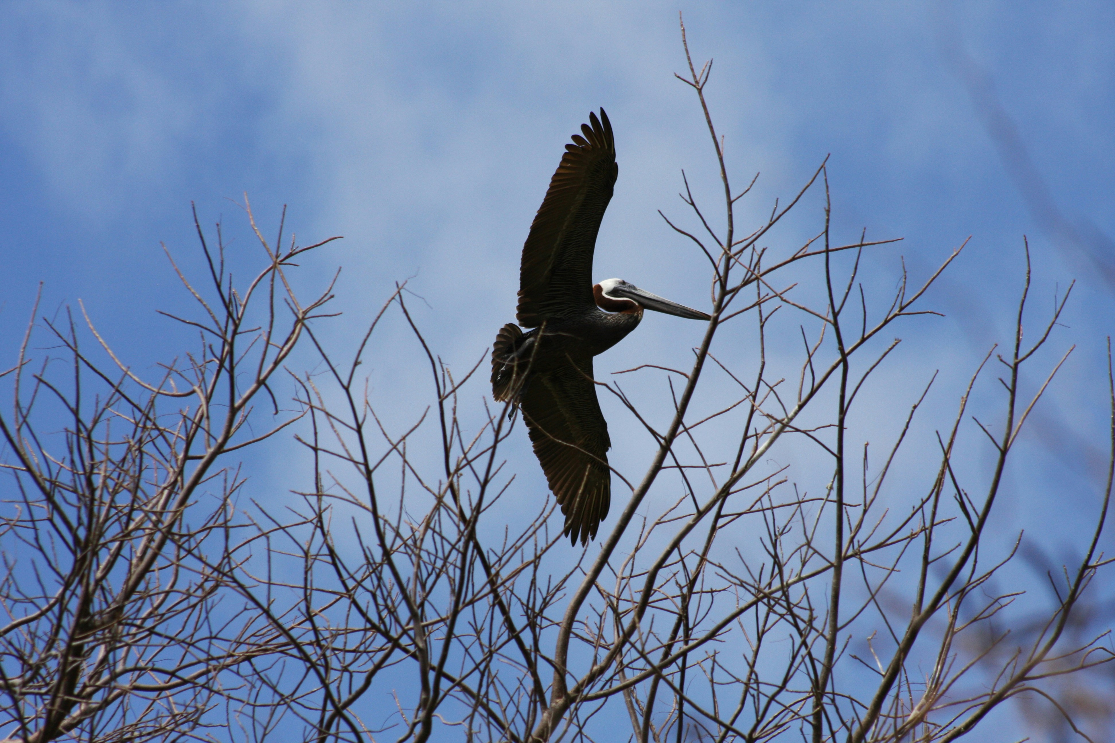 Photo by climatechangevi