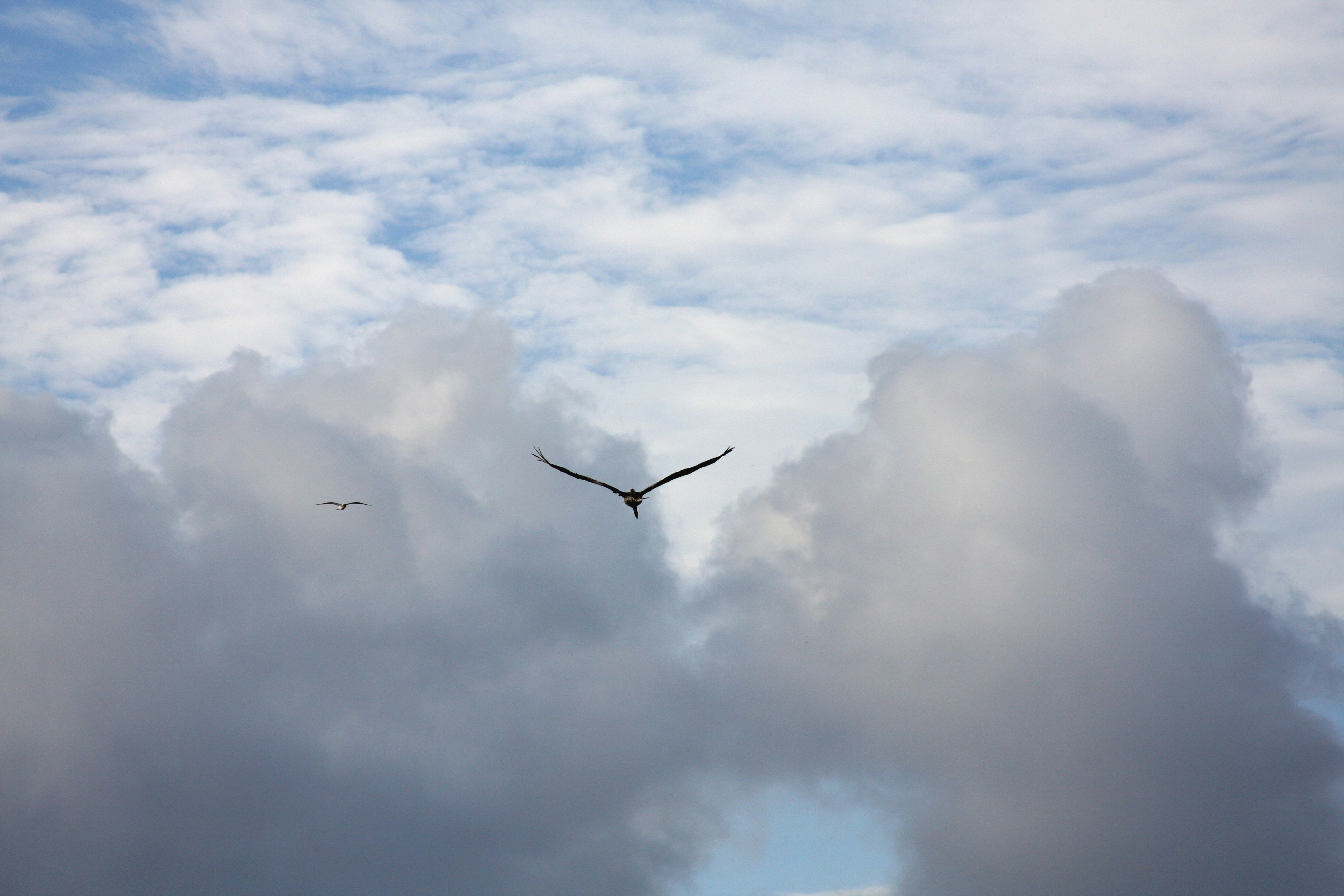 Photo by climatechangevi