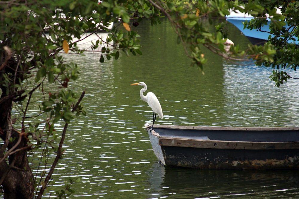 a white bird sitting on top of a boat in the water