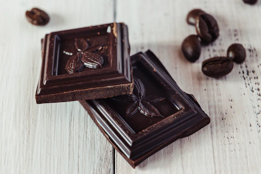 Artisan chocolate pieces arranged artfully with fresh cacao pods and leaves in the background.