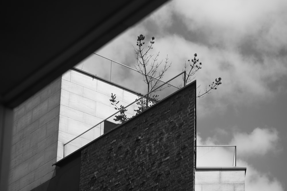a black and white photo of a building and a tree