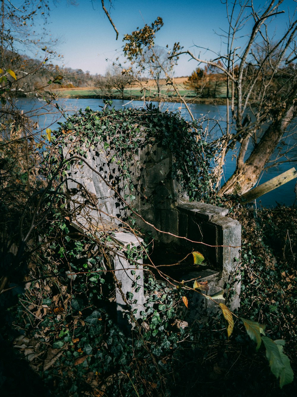 an old, run down structure with vines growing over it