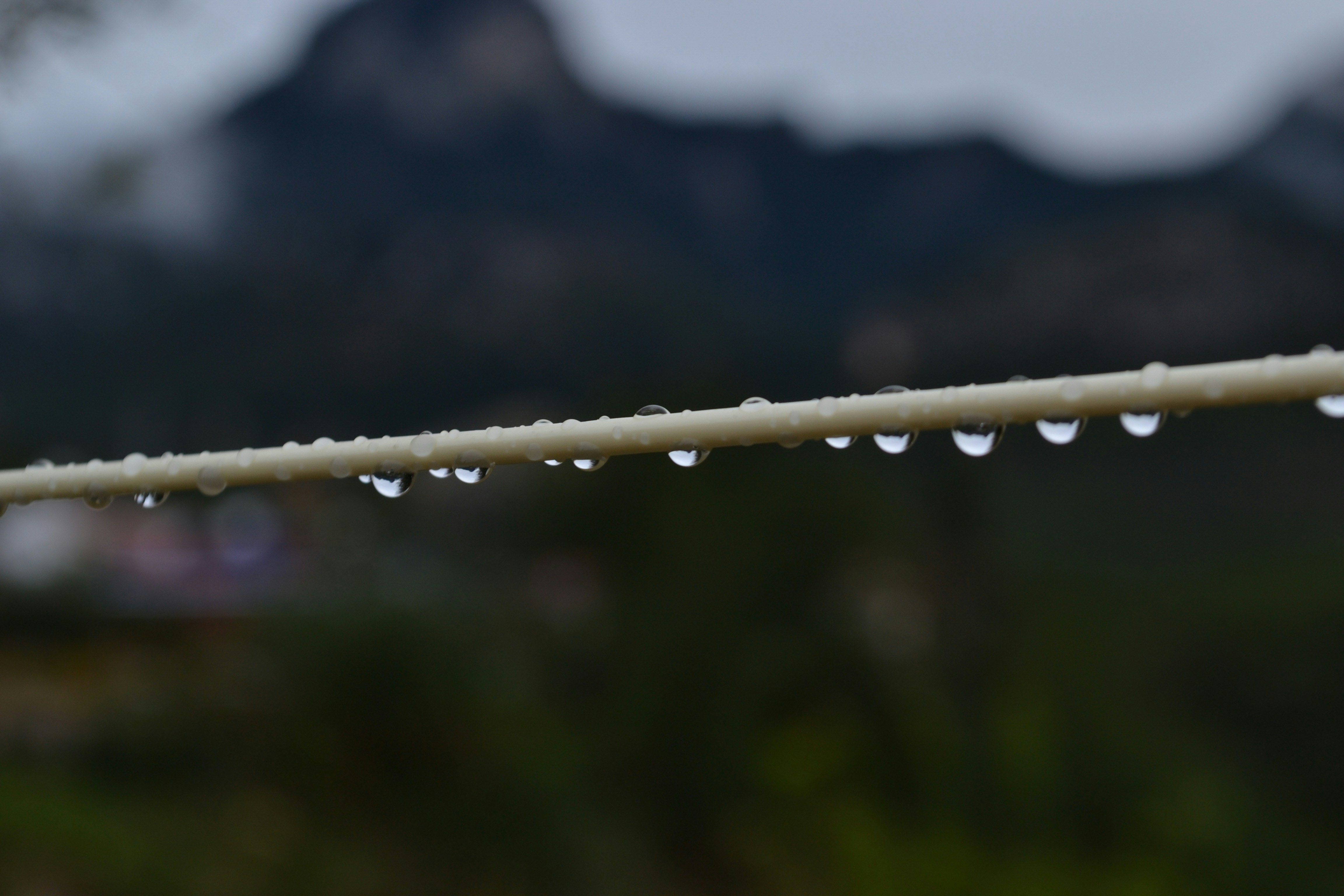 a close up of water droplets on a leaf