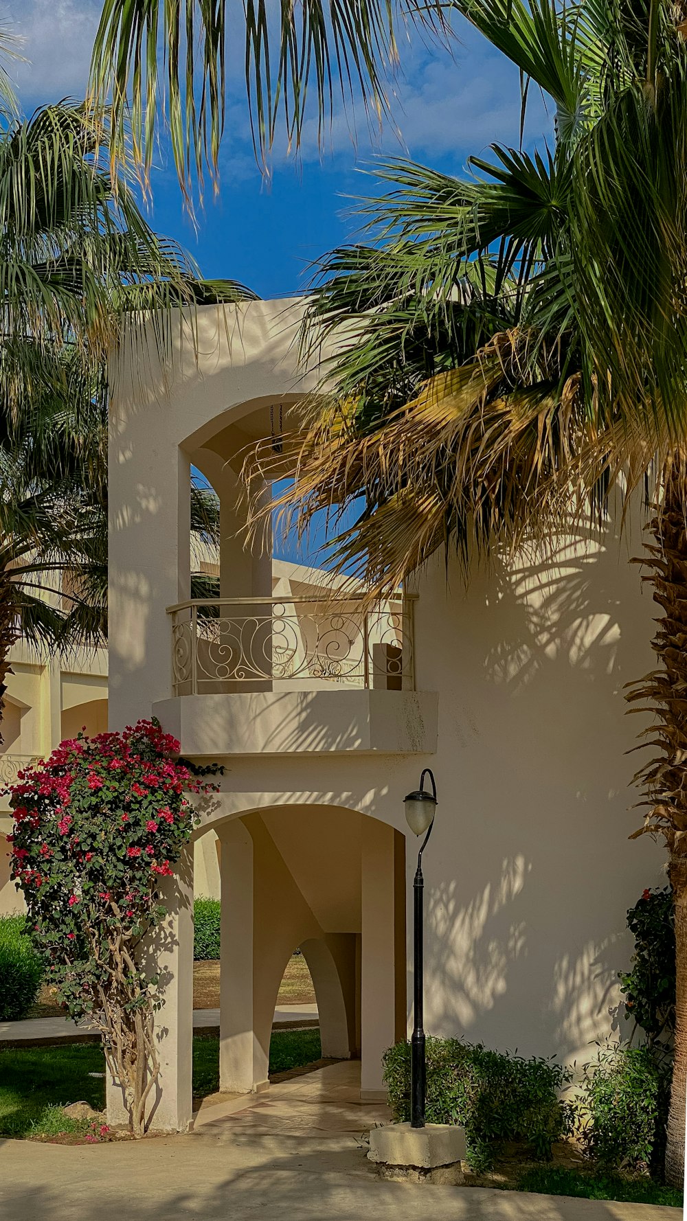 a house with a palm tree in front of it