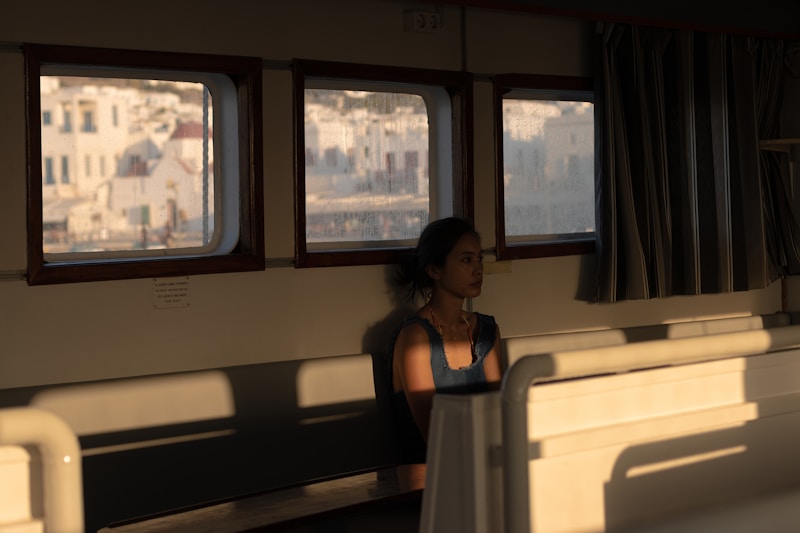 Glamorous traveler on train