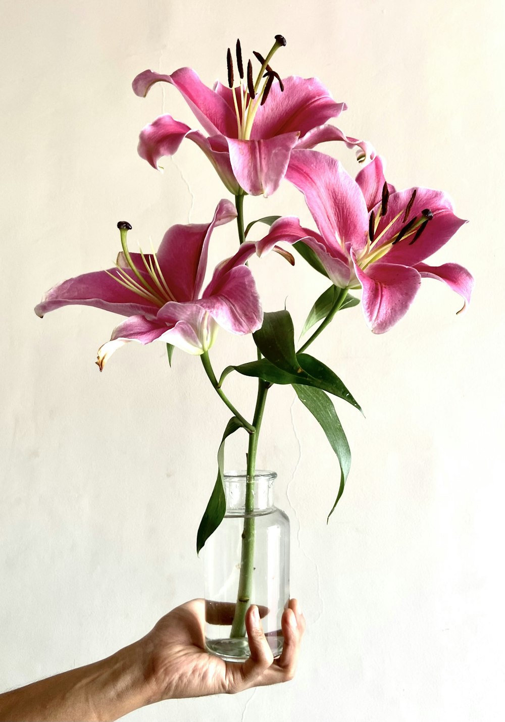 a person holding a vase with flowers in it