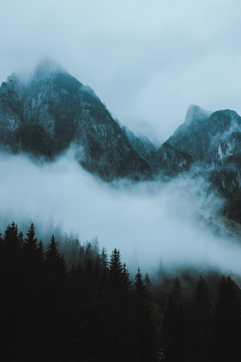 a mountain covered in fog with trees in the foreground