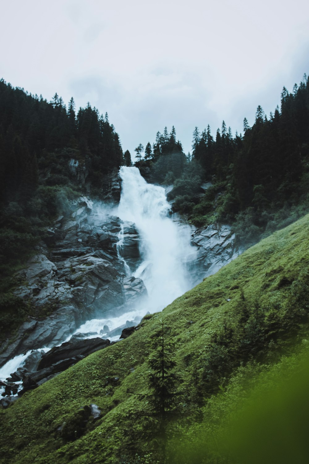 a waterfall in the middle of a forest