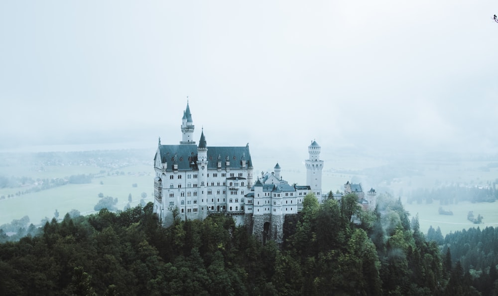 a castle on top of a hill surrounded by trees